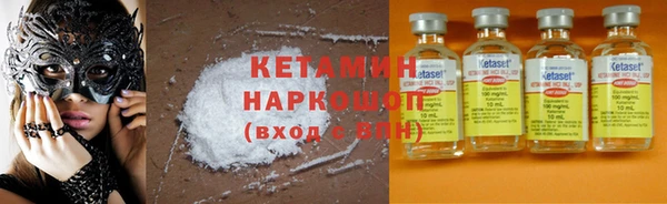 стаф Аркадак