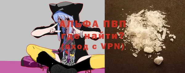 стаф Аркадак