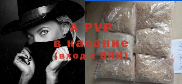 стаф Аркадак