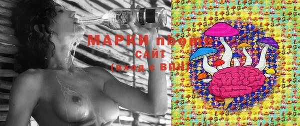твердый Армянск