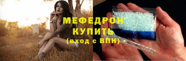 стаф Аркадак