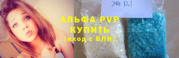 стаф Аркадак
