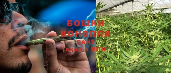 стаф Аркадак