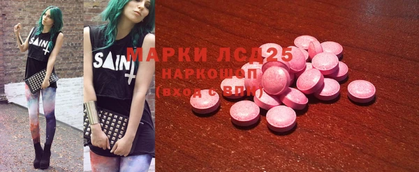 стаф Аркадак