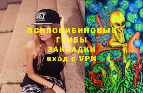 стаф Аркадак