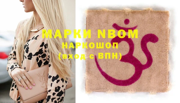 стаф Аркадак