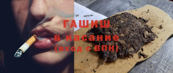 стаф Аркадак