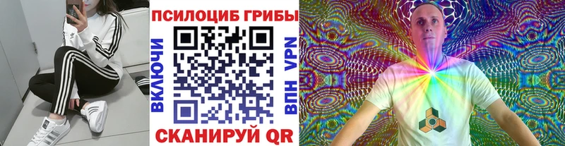 площадка телеграм  Снежногорск  Псилоцибиновые грибы Psilocybe 