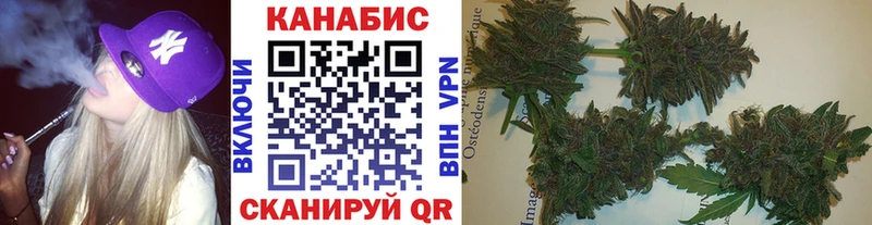 Бошки марихуана конопля  Снежногорск 